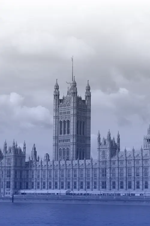Government and public sector
